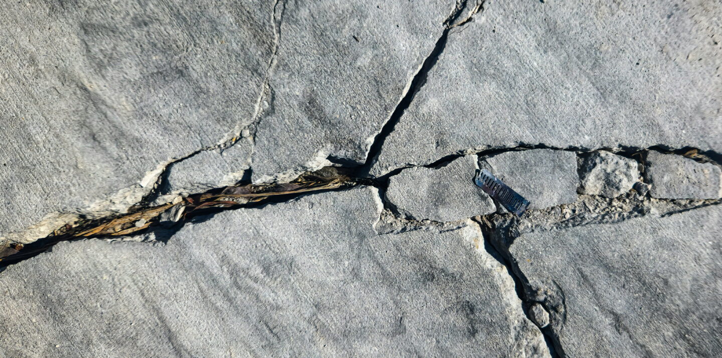 Cracked concrete surface with grass growing through the fissures.
