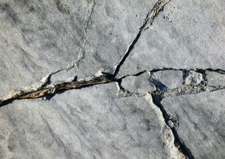 Cracked concrete surface with grass growing through the fissures.