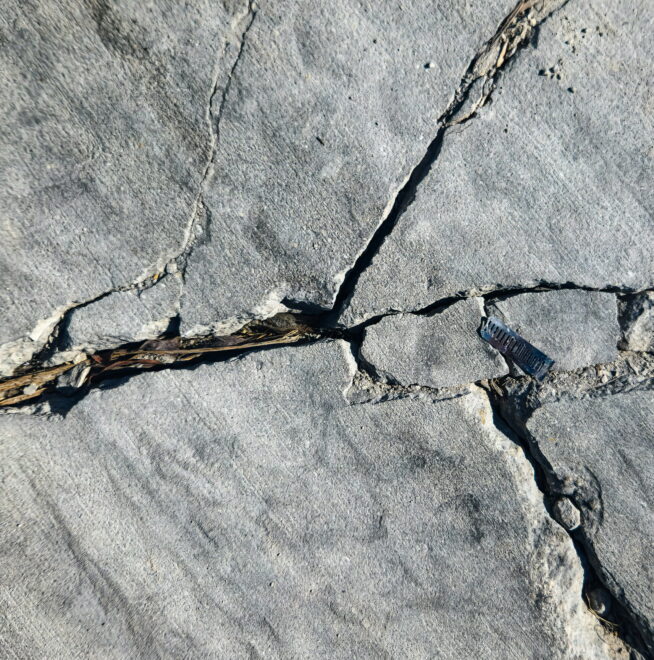 Cracked concrete surface with grass growing through the fissures.